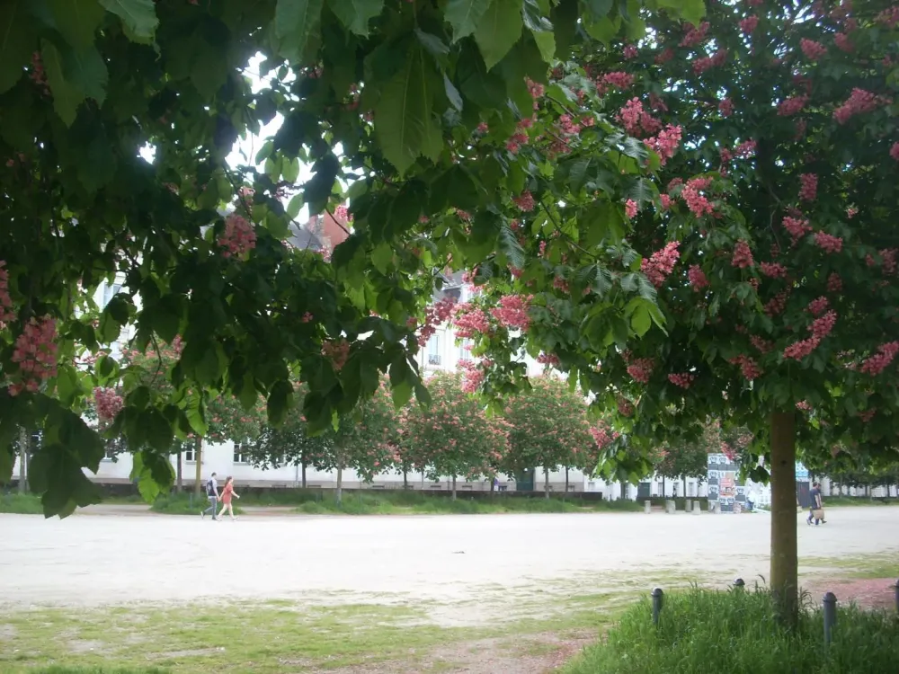 le-quartier-nantes-17