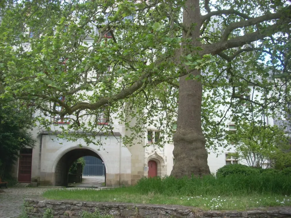 le-quartier-nantes-41