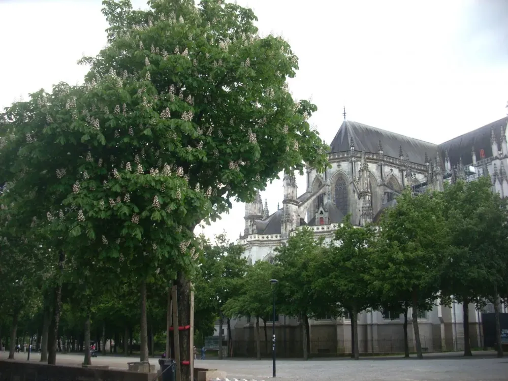 le-quartier-nantes-54